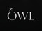 The Owl