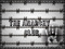 THE ANARCHY CLUB MUSIC THE ANARCHY CLUB MUSIC