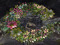 Cloven Circle