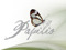 .: Papilio Store :. .: Papilio Store :.