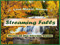 Streaming Falls Streaming Falls