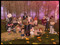 Bloodmoon Family 2018 Bloodmoon Family 2018