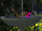 Itty Bitty Nudists Itty Bitty Nudists