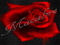 +Macabre+ Store Group +Macabre+ Store Group