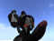 Orca Orca