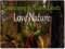 Landscaping By Felix News Landscaping By Felix News