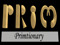 Primtionary Players Primtionary Players
