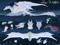 Zeenia Reference sheet Zeenia Reference sheet