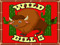 WILD BILLS GAMES