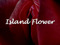 Island Flowers