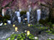 ^ The Last Aokigahara Souls ^