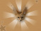 The Fennec Alliance The Fennec Alliance