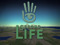 Second Life Second Life