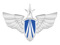 Chinese - PLAAF Chinese - PLAAF