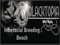 AFK Blactopia Interracial NudeBeach
