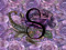 ~*~Scorpianrose's~*~