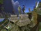 FaNg Sanctuary Island