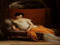 Salon des Beaux-Arts