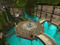 Isle of Wyrms Marketplace