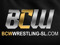 Battle Championship Wrestling {BCW}