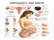    Appointments OB/Gyn