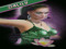 -- DJ_DaliLu --