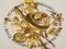 Academy of London Academy of London