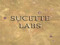 Sucette Labs