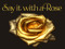 SAY IT WITH A ROSE