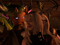 ! ♥ 1. Mirya and Yuki ♥ !