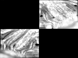 parcel image