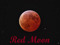 Nemesis Little Bloodlines Shop Chez RedMoon