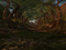 Aspasia Forest ~ Women Only , Lesbian