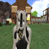 Second Life profile photo