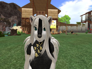 Second Life profile photo (full)