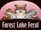 Forest Lake