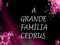 FAMILY CEDRUS