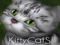 KittyCats Addicts