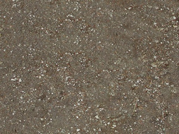 parcel image