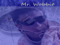 Mr. Wobbit's Music Mr. Wobbit's Music
