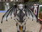 3 - Forms - Bipedal / Anthros