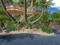 Bluebird Coast Bluebird Coast