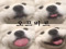☾ ᴏ ꜰ ꜰ ʙ ᴇ ᴀ ᴛ 