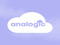 Analogic Store