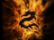 Black Dragon Viewer Support
