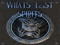 What's Lost Spirits