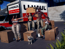 Parcel snapshot