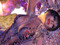SL- Photographer Group