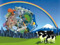 Katamari Damacy