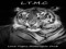 Lone Tigers Motorcycle Club